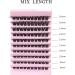 Lash Clusters 100Pcs DIY Individual Eyelash Extensions | Natural Look D Curl Cluster | 8-16MM | Reusable Individuals | Volume Lashes | (#03) - Buy Online on GoSupps.com