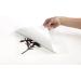 Cricut Vinyl Transfer Tape 12X48 Standard Grip - 2002363 | Best Quality StandardGrip Transfer Tape - Buy Online on GoSupps.com