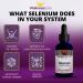 WellnessOne Selenium Drops - Heart & Thyroid Support - Boost Immunity & Antioxidant Enzymes - 1.67fl - Buy Online on GoSupps.com