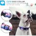 Heele Dog Collar for All Sizes | Adjustable & Comfortable Purple Sunset Design | Robust Patterned Collars for Puppies Small Medium & Large Dogs - Buy Online on GoSupps.com
