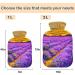 Naanle Lavender Fields Hot Water Bottle with Cover | 1L Heat Bottle for Back Pain Relief & Cold Therapy - Hand & Foot Warmer - Buy Online on GoSupps.com