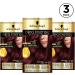 Schwarzkopf Oleo Intense Red Hair Dye 3-Pack Permanent Oil Colour No Ammonia Covers Greys Burgundy Red 4-23 Burgundy Red 3 count (Pack of 1) - Buy Online on GoSupps.com