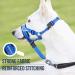 Goodboy Dog Halver with Service Belt - Padded Halter for All Dog Sizes (Size 2 Blue Nylon) - Prevents Pulling on Leash - Buy Online on GoSupps.com