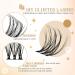 84 Pcs Cluster Lash Extensions for Natural Wispy Look - Thin Band & Soft - SNR18 - Buy Online on GoSupps.com