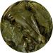 GOARTEA Taiwan Milk Oolong Tea 50g - High Mountain Alishan Jin Xuan Oolong Loose Leaf Green Tea - Supreme Jinxuan Oolong Tea - Buy Online on GoSupps.com