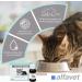 alfavet ReConvales Tonicum Cat Dietary Food Supplement Stimulating the Appetite for Convalescence and in Cases of Underweight 3 x 45 ML - Buy Online on GoSupps.com