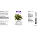 Now Foods Citronella Essential Oil 4 fl oz | Natural Bug Repellent & Aromatherapy - Buy Online on GoSupps.com