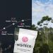 Ensue o Mixteco Specialty Coffee Beans | 100% Arabica Medium Body and Artisanal Production | 460 grams Mexican Origin - Buy Online on GoSupps.com