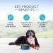 Blue Buffalo Life Protection Formula Large Breed Dog Food - Natural Dry Dog Food for Adult Dogs & Life Protection Formula Senior Dog Food - Natural Dry Dog Food for Senior Dogs - Chicke Beef + Dog Food Small Bag - Buy Online on GoSupps.com