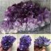Amethyst Rough Stone Natural Amethyst Cluster Purple Crystal Quartz Home Decor (Color : 180-200g Size : 1 Piece) 1 piece 180-200g - Buy Online on GoSupps.com