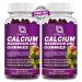 Calcium Magnesium Zinc with Vitamin D3 Supplement, Highly Absorbent Calcium Gummies with 300mg Magnesium glycinate Support Bone & Teeth, Muscle for Adults and Teens,Sugar Free, Vegan (2 Pack) Elderberry 60 Count (Pack of 2)
