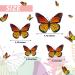 Monarch Butterfly Hair Clips - 12 Pieces 3D Simulation Barrettes for Women and Girls - Buy Online on GoSupps.com