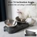 PewinGo Non-Slip Cat Bowl with Stainless Steel & Silicone Mat for Food & Water Feeding - Buy Online on GoSupps.com