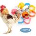 100 Bird Identification Rings - Pigeon Footrings Parrot Leg Bands & Poultry Marking Tape - 8mm Clamping Rings for Chickens Quail & More - Buy Online on GoSupps.com