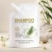 Shampoo for the hair 100 ml refreshing scalp wash nourishing shampoo for men and women daily travel size purifying moisture care - Buy Online on GoSupps.com