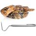 Bohue Snake Capture Hook Retractable Snake Catching Hook Stainless Steel Reptile Capture Hook Handheld Tools Outdoor Reptile Supplies (2) - Buy Online on GoSupps.com