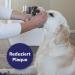 Canosept Dental Care Finger Pads for Dogs - 150 Peppermint Tartar Remover Pads - Fresh Breath & Dental Health - 3 x 50 Pieces - Buy Online on GoSupps.com