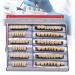 Mttxy 168 pieces of artificial teeth complete acrylic resin prosthesis teeth entire teeth synthetic polymer prosthesis teeth 23 colors A3 upper + lower tooth materials