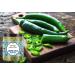 QURA Green Chilli Powder | Hari Mirchi | Ready to Use - 200 GM by - Buy Online on GoSupps.com