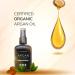 ProFashion 10-In-1 Argan Oil Leave-In Hair Repair Treatment - Keratin & Organic Argan Oil - Vegan, Paraben-Free, Sulfate-Free - 150 ML - Buy Online on GoSupps.com