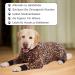 AXCIMOND Dog Recovery Suit for Dogs - Post-Surgery Bodies for Male & Female | Long-Sleeved Wound Protection | 6XL Leopard Design - Buy Online on GoSupps.com