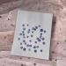YUNZHI Forget Me Not Flowers - Dried Pressed Flowers for Resin, Candle, Soap Making - 40pcs/Pack - Buy Online on GoSupps.com