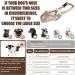 Soft Breathable Muzzle for Medium & Large Dogs - Anti-Barking & Chewing | Perfect Pet Gift - Buy Online on GoSupps.com