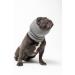 Shop Large Gray Pet Hoodz for Dogs | Anxiety Relief Ear Protection & Fur Care - Available in Black & Blue - Buy Online on GoSupps.com