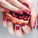 ENERRGECKO French Manicure Nail Art Stickers Self-Adhesive Nail Sticker Tips for Manicure Decoration Diy Tools - Buy Online on GoSupps.com