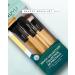 Truyu Brush Collection - Buy Online on GoSupps.com