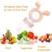 Baby Fruit Food Feeder Pacifier 2-in-1 Teething Toys 4 Pcs Silicone Pouches BPA Free - 3M+ (Muted) - Buy Online on GoSupps.com