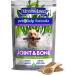 Buy The Missing Link Pet Kelp Formula - Enhance Pet Health & Vitality - Buy Online on GoSupps.com