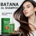  Grgowe Batana Oil Shampoo Rosemary Shampoo Repairs Damaged Hair Moisturizes Hair Loss For Healthier Thicker Hair Suitable For All Hair Types - Buy Online on GoSupps.com