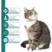 Premium Plant Based Flea and Tick Collar for Cat - Waterproof, Natural Prevention & Protection for Small Kittens - 13.8in (2 Packs) + Free Comb - Buy Online on GoSupps.com