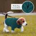 Hjumarayan Dog Sweater - Warm & Elegant Sweater for Small Dogs | Perfect for Chihuahuas - Peacock Green (S) - Buy Online on GoSupps.com