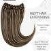 Buy Hetto Tressen Extensions - Real Hair Brown Highlights Dark Brown & Red Blonde #4/27 80g 35cm | Best International Shipping - Buy Online on GoSupps.com