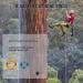 CAMNAL Arborist Climbing kit Ring-kit - Buy Online on GoSupps.com