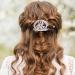 Celtic Hair Clip Set for Women - Vintage Nordic Viking Knot Slide Pins with Wooden Stick for Long Hair (2pcs) - Buy Online on GoSupps.com