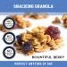 Creative Snacks Bountiful Berry Granola Clusters - 12oz | Delicious Snack & Cereal Option - Buy Online on GoSupps.com