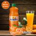Sunquick Real Fruit Concentrate Juicer - Fruity Refreshment (Mandarin 1 Bottle) Mandarin 700.00 ml (Pack of 1) - Buy Online on GoSupps.com