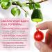 Hair Vitamins Serum for Growth & Thickness | A C E Pro B5 | Argan Macadamia Avocado Oil | 40 Capsules - Unisex Adult - Buy Online on GoSupps.com