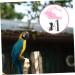 5 Sets Bird Leash Suspend Trains Bird Harness Vest Gecko Leash Parrot Flying Tool Lizard Animal 12X6X1.3CMx5pcs Pinkx5pcs - Buy Online on GoSupps.com