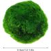 6Pcs Moss Balls Natural Green Moss Balls Live Aquarium Plants 1.2-1.6 inch Artificial Seaweed Ball Plants Water Grass Shrimp Water Grass Balls for Fish Tank Terrarium - Buy Online on GoSupps.com