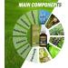 NUANYOYO Fivfivgo Natural Lung Support Spray - Herbal Cleansing Formula | Promotes Lung Strength - Pack of 3 - Buy Online on GoSupps.com