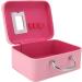 Eyelash Extension Storage Box Smooth Open Durable Waterproof Nail Tool Storage Box Pink for Travel (Pink) - Buy Online on GoSupps.com