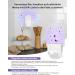 YISSVIC Electric Fruit Fly Trap with UV Light & 5 Stickers - Effective Kitchen & Interior Solution - Buy Online on GoSupps.com