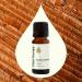 Plant Therapy Buddha Wood Essential Oil 10 mL (1/3 oz) 100% Pure Undiluted Therapeutic Grade - Buy Online on GoSupps.com