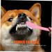 Sosoport 32 Pcs Double Head Dog Toothbrush Pet Toothbrush Dog Toothbrush and Toothpaste Dogs Pp Set Small Dog - Buy Online on GoSupps.com