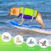 Siivton Dog Life Jacket - Ripstop Vest for Boating & Swimming | Adjustable & Reflective | Buoyancy Rescue Handle | X-Large - Buy Online on GoSupps.com