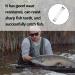 Zoe Tekway 40-Piece Stainless Steel Fishing Leaders - Anti-Bite Anti-Winding Versatile for Saltwater & Freshwater Fishing Accessories - Buy Online on GoSupps.com